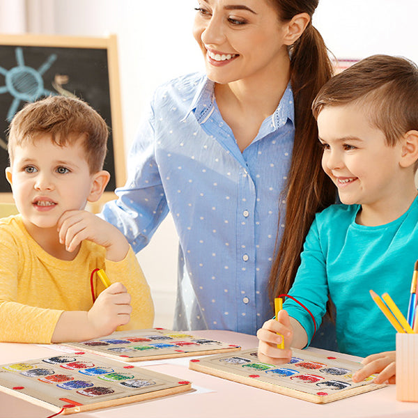 Toystar EcoToys | Educational maze adventure with magnets - Magnetic sorting board - Leerzaam doolhofavontuur met magneten...