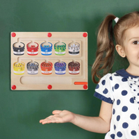 Thumbnail for EcoToys | Educational maze adventure with magnets - Magnetic sorting board