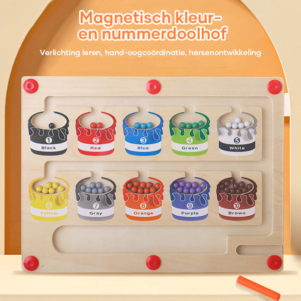 Toystar EcoToys | Educational maze adventure with magnets - Magnetic sorting board - Leerzaam doolhofavontuur met magneten...
