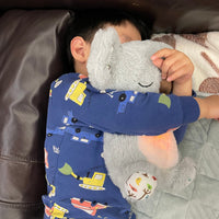 Thumbnail for KozyKoala | Sleep peacefully - Calming Hug