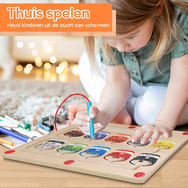 EcoToys | Educational maze adventure with magnets - Magnetic sorting board