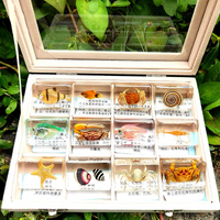 Thumbnail for Toystar Insect Collection | Unique Animal Specimens - 12 Wooden Insects in Resin - Unieke Dierlijke Specimens - 12 Houten ...