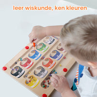 Thumbnail for EcoToys | Educational maze adventure with magnets - Magnetic sorting board