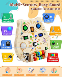 Thumbnail for Toystar Owl Bright Board | Learn through play - Educational Wooden Game Board - Leer spelenderwijs - Educatief Houten Spee...