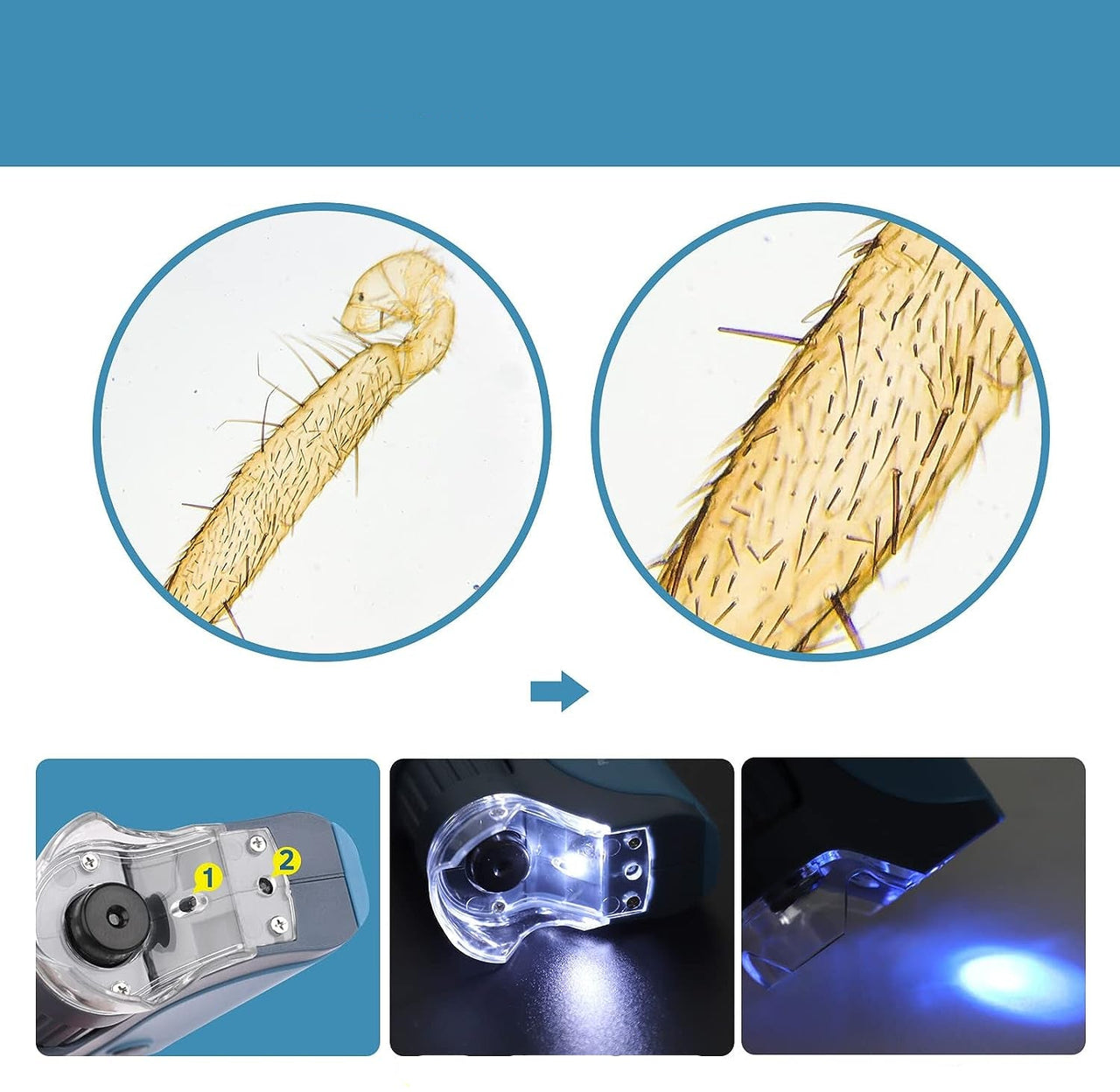 Toystar MicroQuest | Discover the invisible world - Portable microscope with 3 lenses and LED lighting - Ontdek de onzicht...