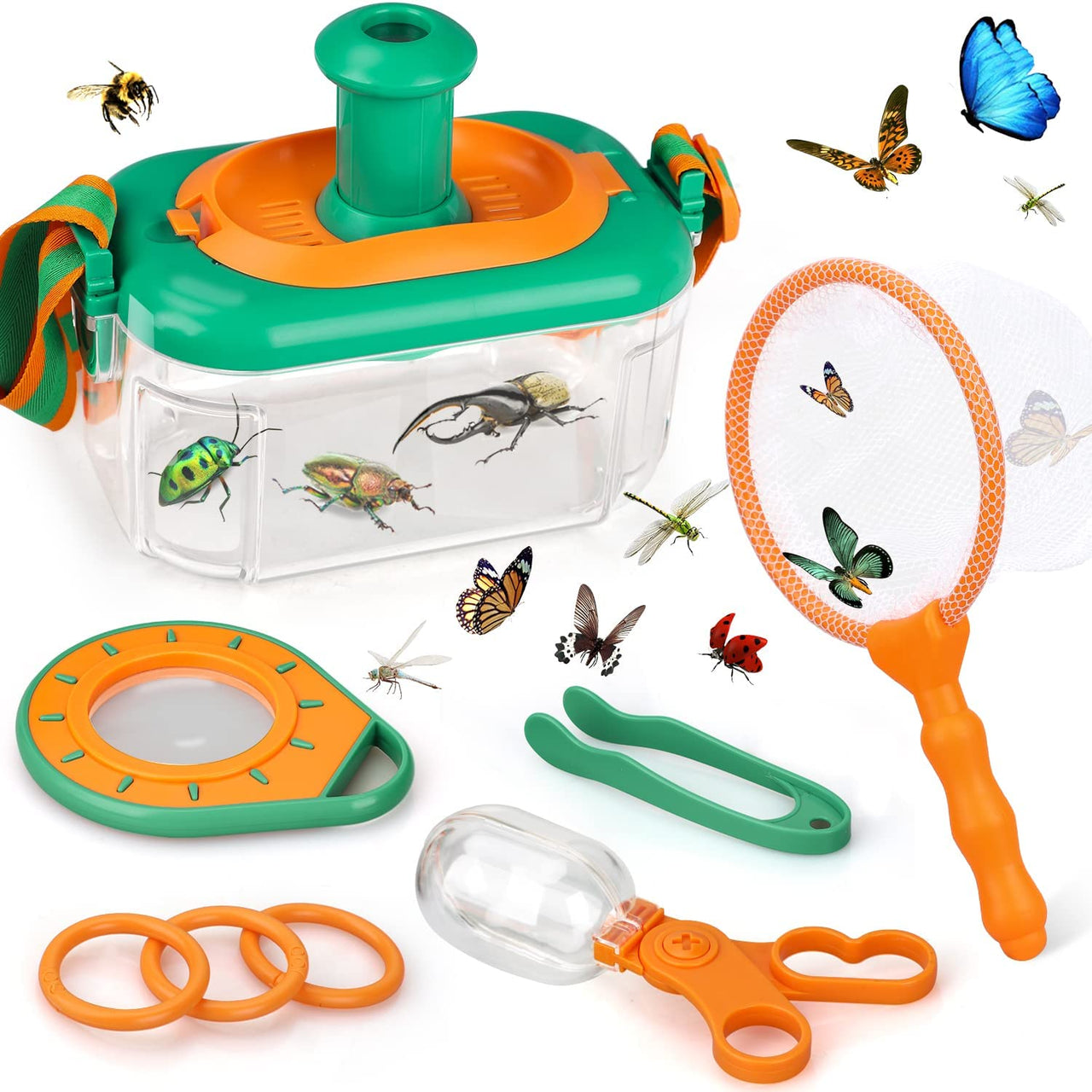 Toystar ExplorerBox | Discover nature - portable viewing box for young adventurers - Ontdek de natuur - draagbare kijkdoos...