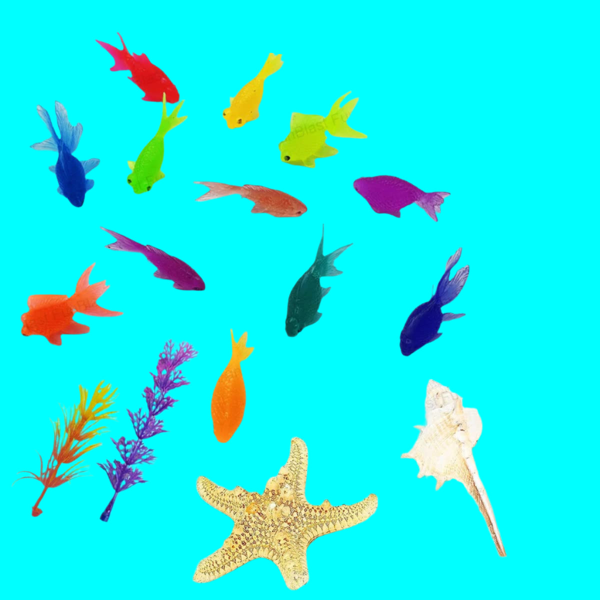 Toystar AquaPals | Splashing fun - Cute rubber fish for bath and water fun - Speels leren - Educatieve muzikale autosleute...