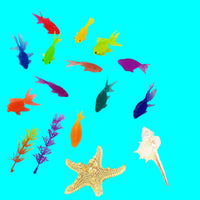 Thumbnail for Toystar AquaPals | Splashing fun - Cute rubber fish for bath and water fun - Speels leren - Educatieve muzikale autosleute...