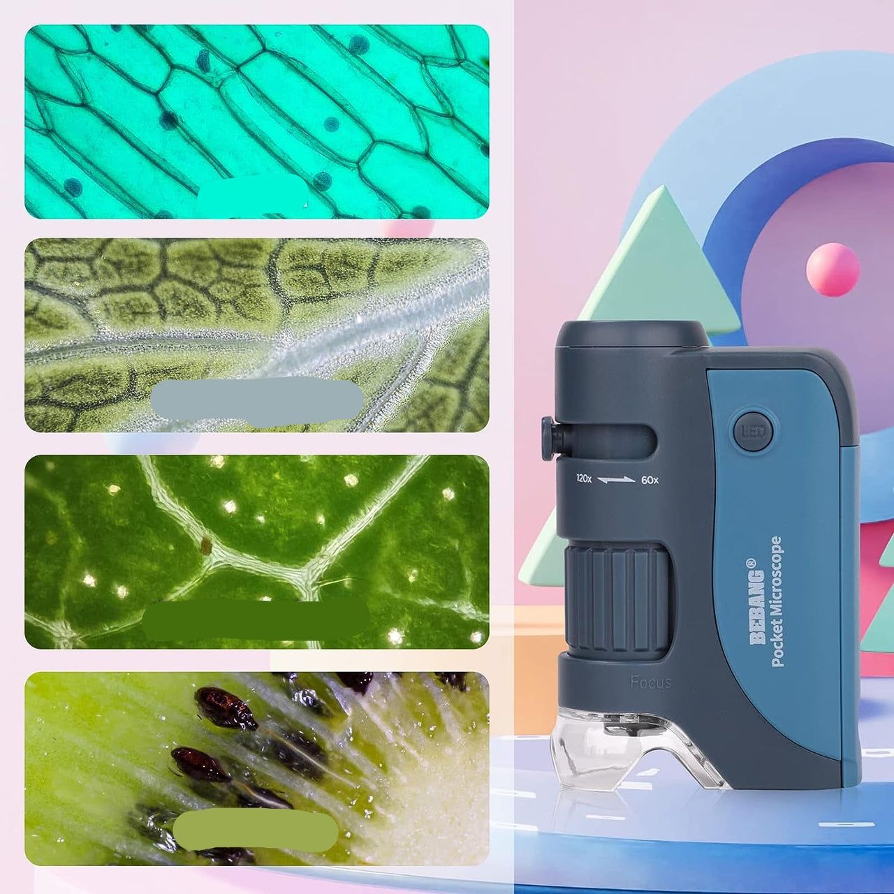 Toystar MicroQuest | Discover the invisible world - Portable microscope with 3 lenses and LED lighting - Ontdek de onzicht...