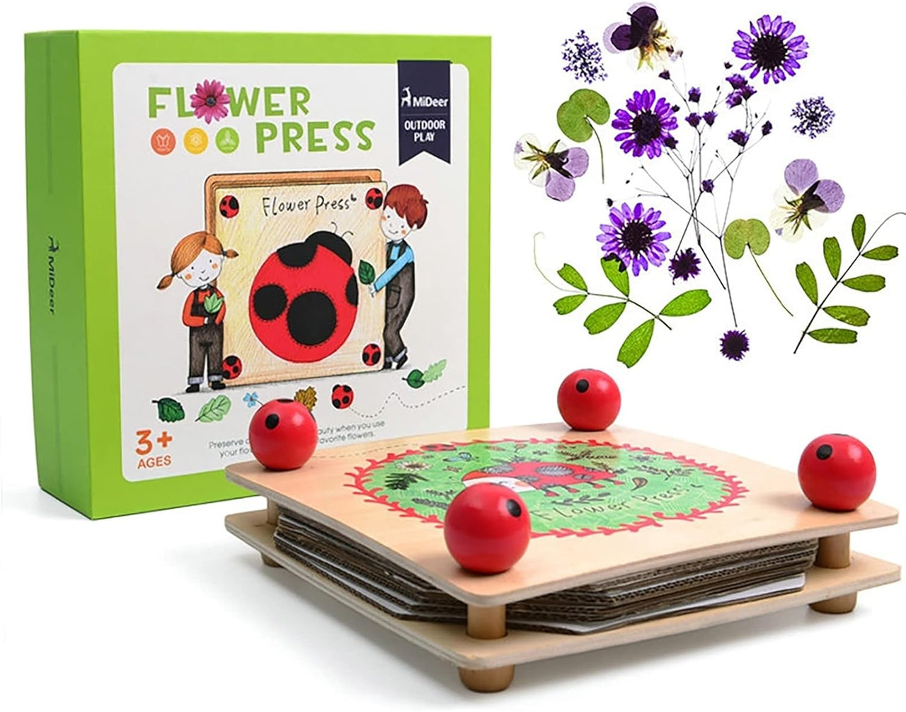 Toystar BlossomCraft | Creative nature art - Flower press craft set - Creatieve natuurkunst - Bloemenpers knutselset (10)