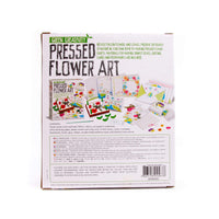 Thumbnail for Toystar BlossomCraft | Creative nature art - Flower press craft set - Creatieve natuurkunst - Bloemenpers knutselset (7)