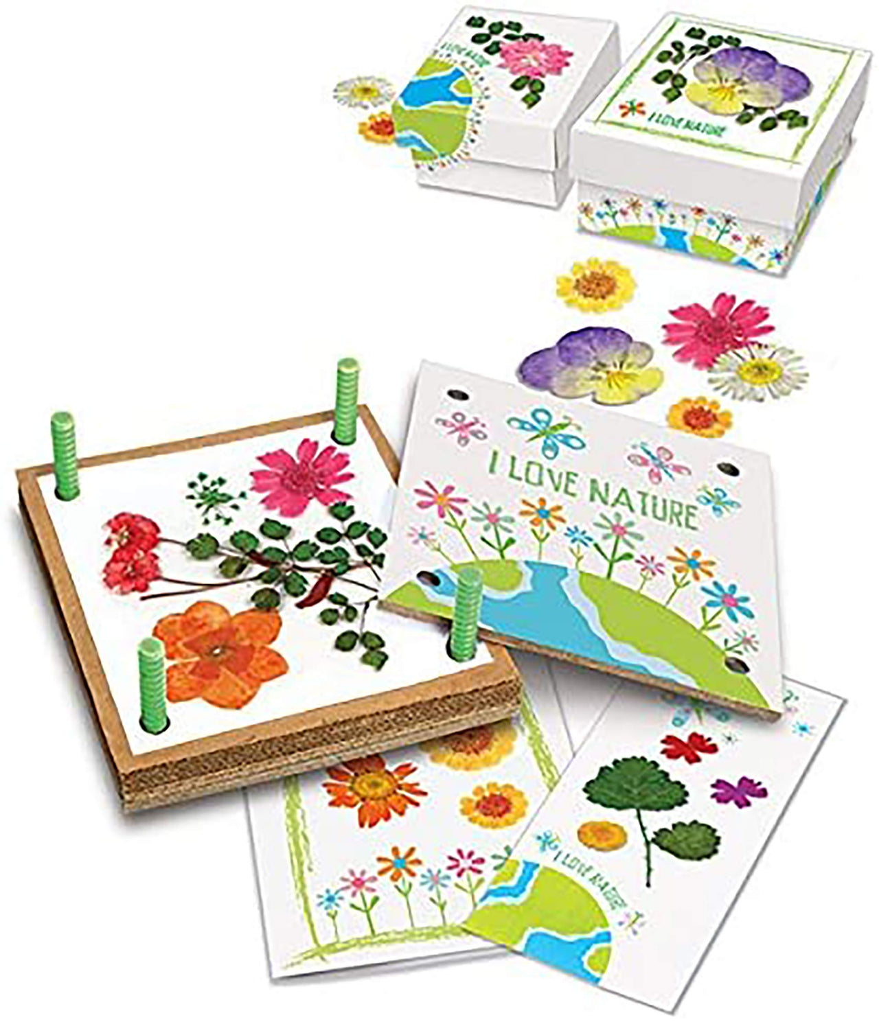 Toystar BlossomCraft | Creative nature art - Flower press craft set - Creatieve natuurkunst - Bloemenpers knutselset (3)
