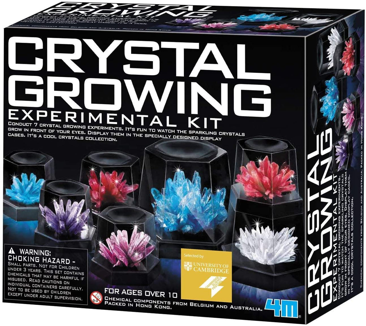 Toystar Crystal Garden | Magical growth - Crystal dinosaur terrarium - Magische groei - Kristallen dinosaurus terrarium