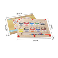Thumbnail for EcoToys | Educational maze adventure with magnets - Magnetic sorting board