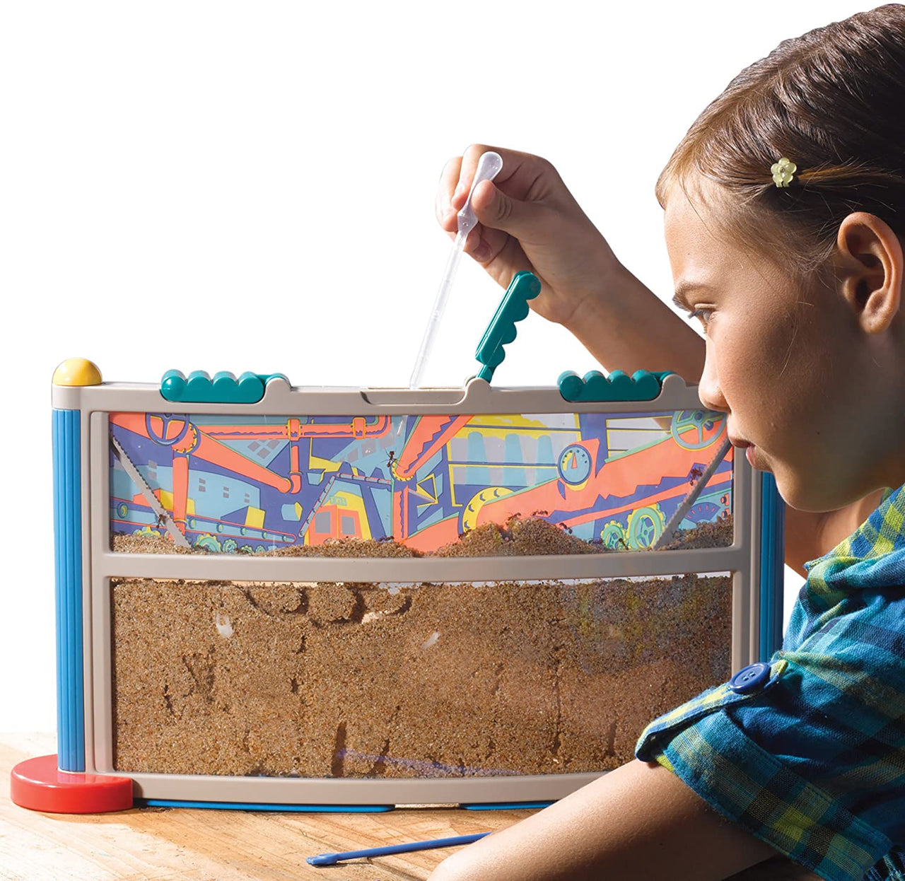 Toystar GeoSafari | Discover & learn - Ant farm educational STEM toys - Ontdek & leer - Mierenboerderij educatief STEM spe...