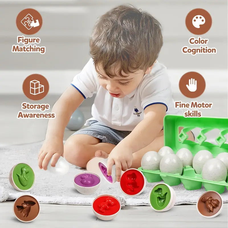 Toystar EggShapes | Discover, play and learn - Educational puzzle toys for fine motor skills - Ontdek, speel en leer - Edu...