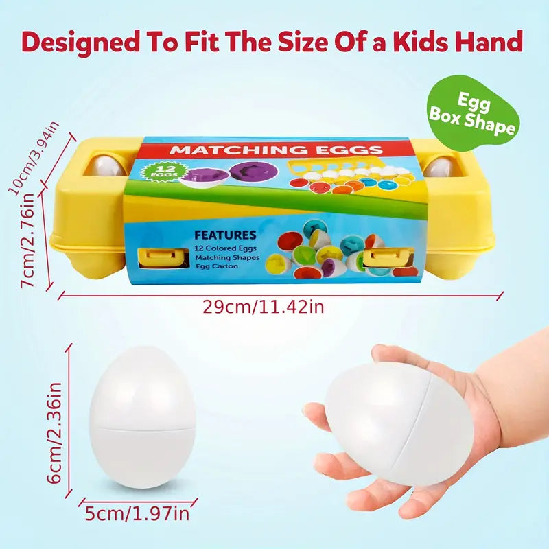 Toystar EggShapes | Discover, play and learn - Educational puzzle toys for fine motor skills - Ontdek, speel en leer - Edu...