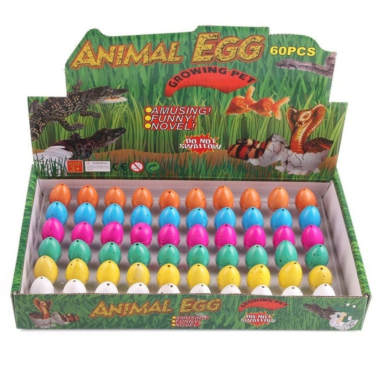 Toystar Water Expansion Dino Eggs| Magic Toys - See Dinosaurs Grow - Magisch Speelgoed - Zie Dinosaurussen Groeien