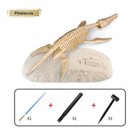 Thumbnail for Toystar DinoDiggers | Experience an exciting archaeological adventure! - Dig and discover dinosaur fossils with this educa...