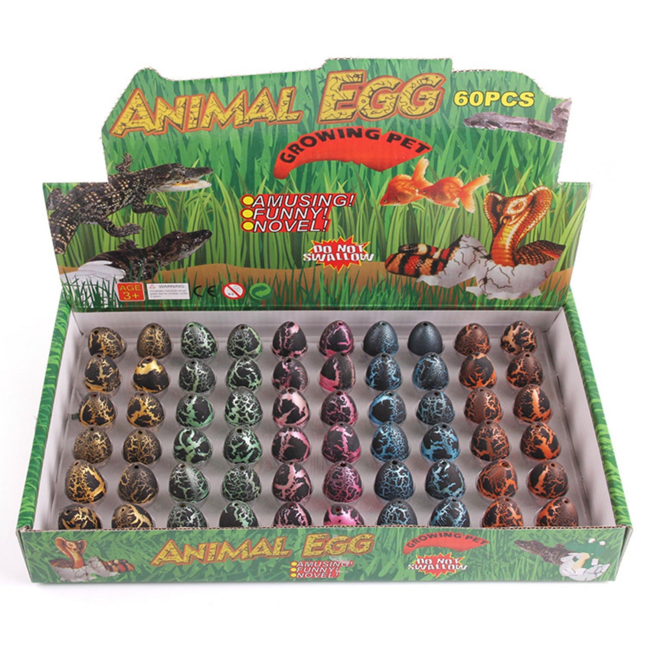 Toystar Water Expansion Dino Eggs| Magic Toys - See Dinosaurs Grow - Magisch Speelgoed - Zie Dinosaurussen Groeien (8)