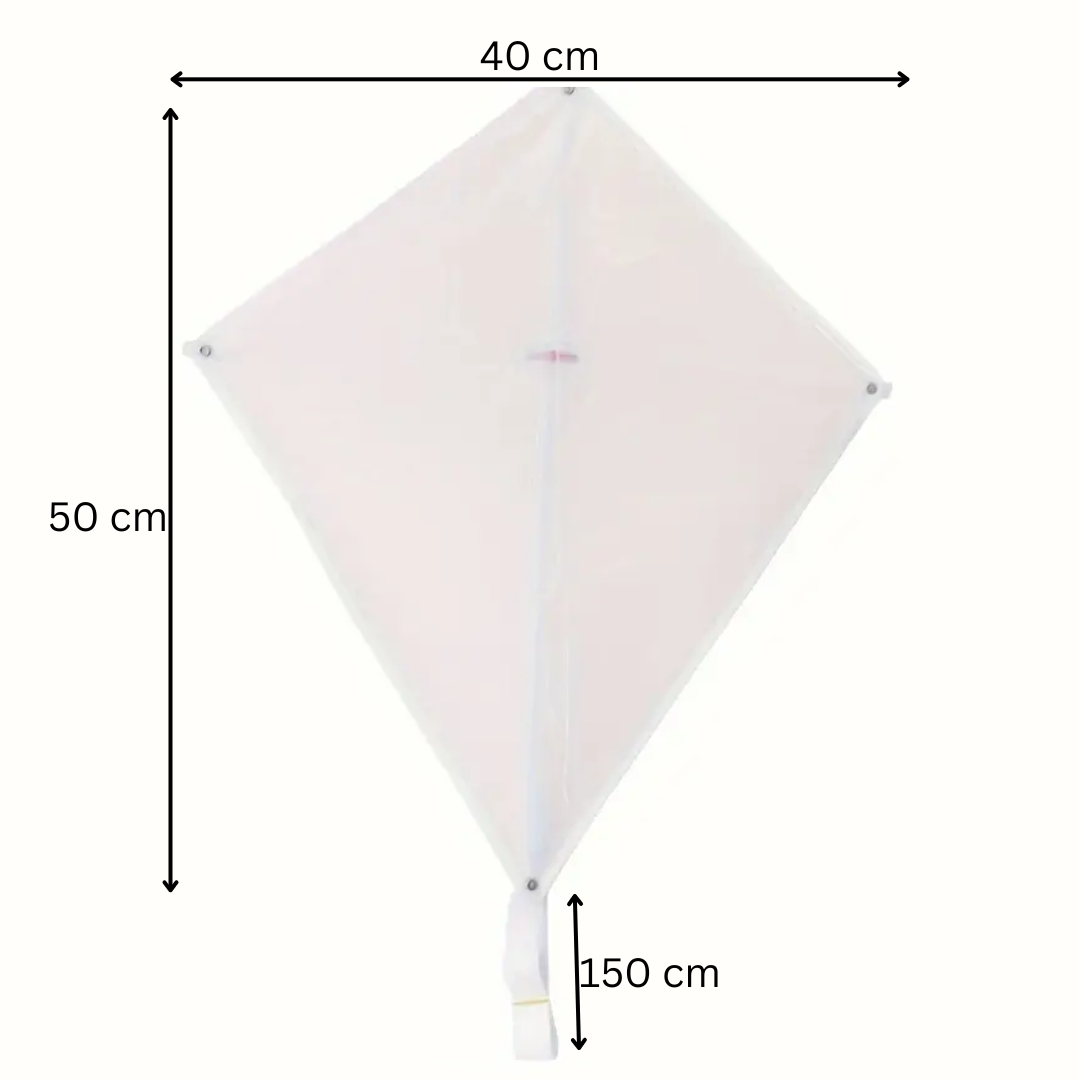 Toystar ArtFlyer | Creative freedom in the sky - DIY kite with long tail and canvas - Creatieve vrijheid in de lucht - DIY...