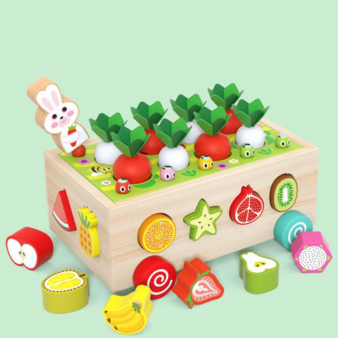 Toystar NL FruitFarm | Montessori Garden Shapes Sorter Wooden Educational Toys for Toddlers - Fruits and Vegetables - Mont...