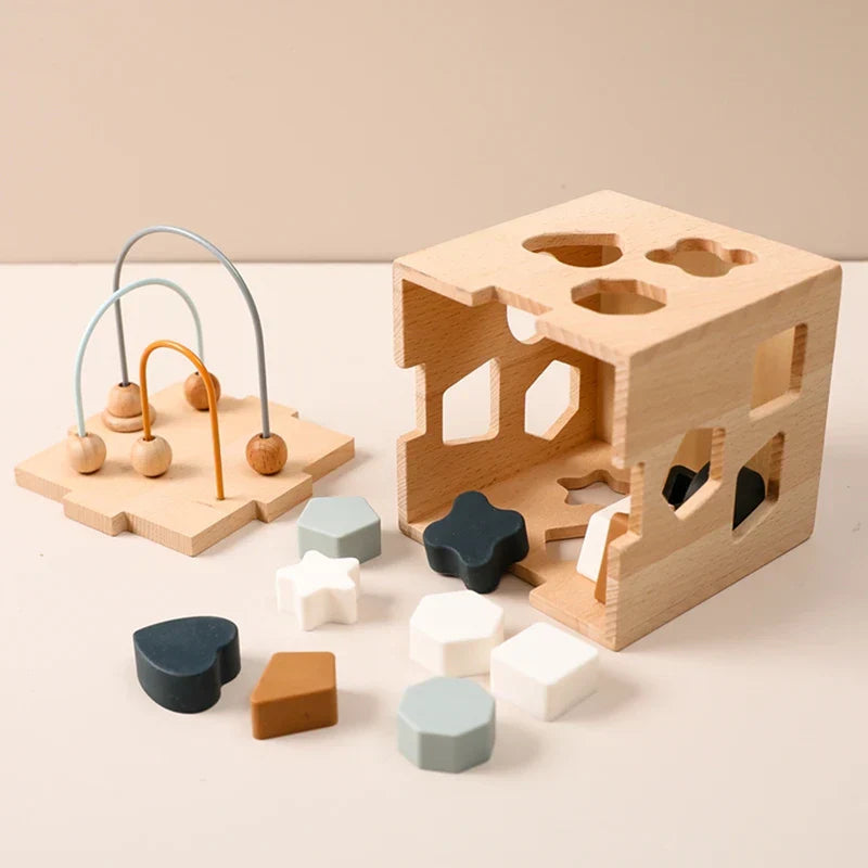Toystar GeoPlay | Shape recognition and fun - Wooden and silicone sorting block with geometric shapes - Vormherkenning en ...
