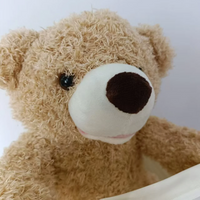 Thumbnail for Toystar PeekABear | Magical fun for every child - Interactive teddy bear - Magisch plezier voor elk kind - Interactieve kn...