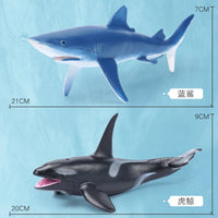 Thumbnail for Oceanimals | Leren & Decoreren – Realistisch Zeeleven Speelgoed voor Kinderen