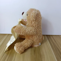 Thumbnail for Toystar PeekABear | Magical fun for every child - Interactive teddy bear - Magisch plezier voor elk kind - Interactieve kn...