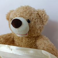 Thumbnail for Toystar PeekABear | Magical fun for every child - Interactive teddy bear - Magisch plezier voor elk kind - Interactieve kn...