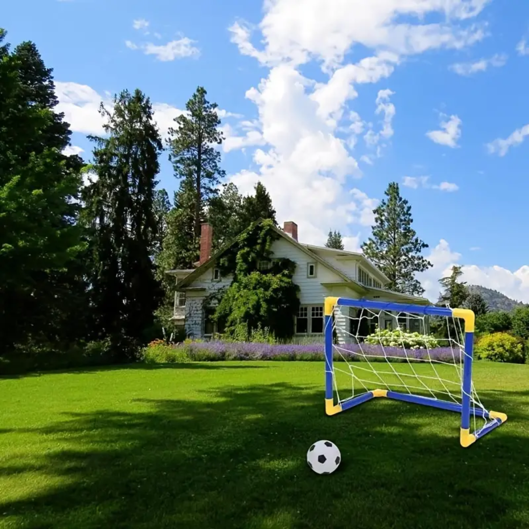 Toystar PlayGoal Mini Set | Active playing fun for indoors and outdoors - Portable football set - Actief speelplezier voor...