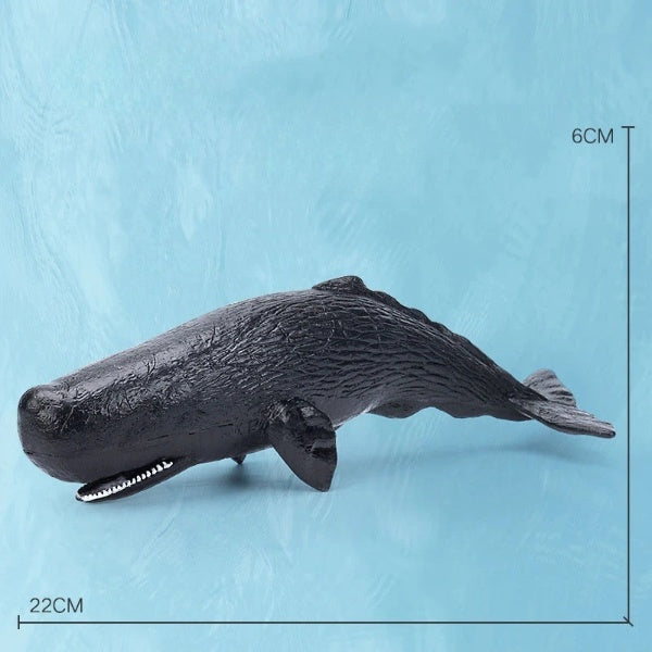 Oceanimals | Leren & Decoreren – Realistisch Zeeleven Speelgoed voor Kinderen