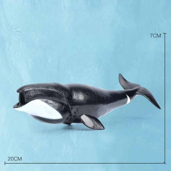 Oceanimals | Leren & Decoreren – Realistisch Zeeleven Speelgoed voor Kinderen