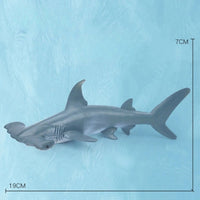 Thumbnail for Oceanimals | Leren & Decoreren – Realistisch Zeeleven Speelgoed voor Kinderen