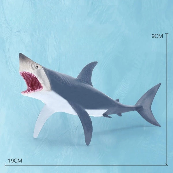 Oceanimals | Leren & Decoreren – Realistisch Zeeleven Speelgoed voor Kinderen