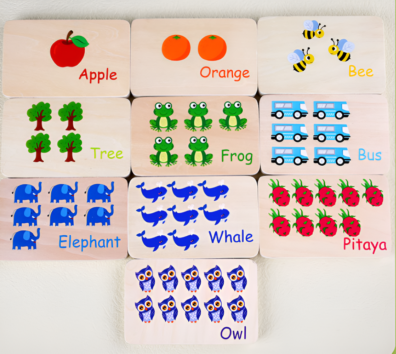 Ecotoys CountWise | Spelenderwijs rekenen - Houten Montessori telbord voor peuters en kleuters!