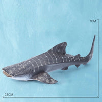 Thumbnail for Oceanimals | Leren & Decoreren – Realistisch Zeeleven Speelgoed voor Kinderen