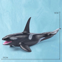 Thumbnail for Oceanimals | Leren & Decoreren – Realistisch Zeeleven Speelgoed voor Kinderen