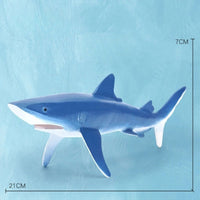 Thumbnail for Oceanimals | Leren & Decoreren – Realistisch Zeeleven Speelgoed voor Kinderen