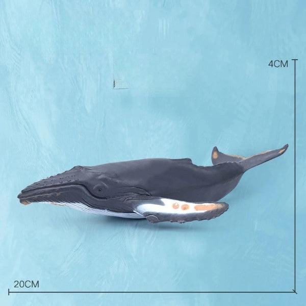 Oceanimals | Leren & Decoreren – Realistisch Zeeleven Speelgoed voor Kinderen
