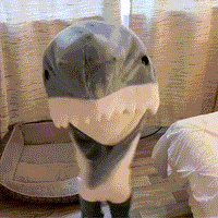 Thumbnail for Toystar Shark Blanket | Cozy - Portable Shark Deck for Everyone - Gezellig - Draagbare Haai Decke voor Ledereen (6)