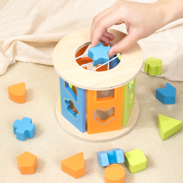 Toystar EcoToys WoodBlock PlayCube | Develop skills - Educational wooden toys - Ontwikkel vaardigheden - Educatief houtens...