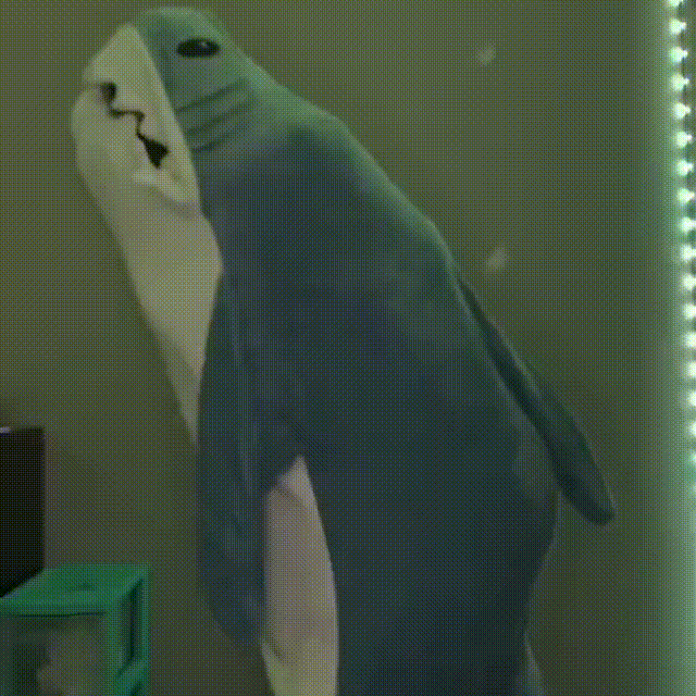 Toystar Shark Blanket | Cozy - Portable Shark Deck for Everyone - Gezellig - Draagbare Haai Decke voor Ledereen (7)