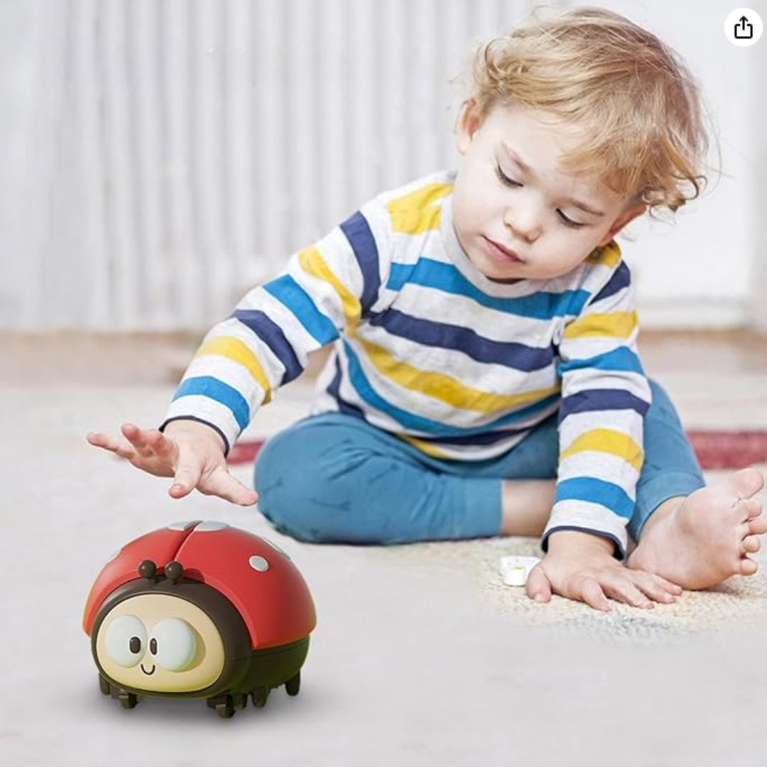 Toystar Ladybug Wonder Blower | Play and Learn with Balls - Educational Toys for Children - Speel en Leer met Ballen - Edu...