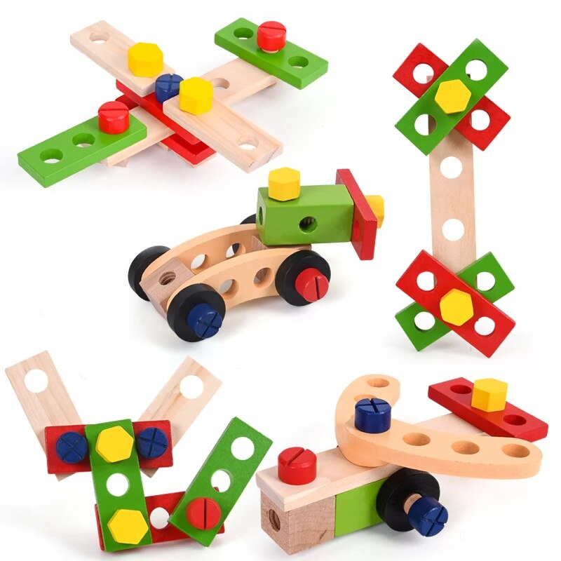 Toystar EcoToys Creative Builder | Develop Creativity and Self-Confidence - Montessori Educational Toys - Ontwikkel Creati...