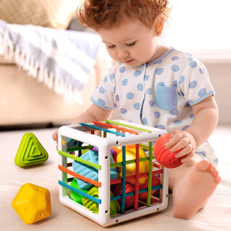 Toystar Creative Shape Blocks | Stimulate your child's creativity - Discover Playful Learning - Stimuleer de creativiteit ...