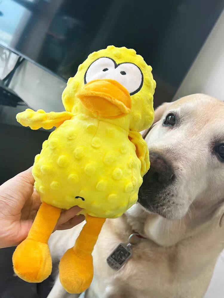 Toystar PawBuddy | The ultimate cuddle and chew toy - Interactive dog toy - Het ultieme knuffel- en kauwspeeltje - Interac...
